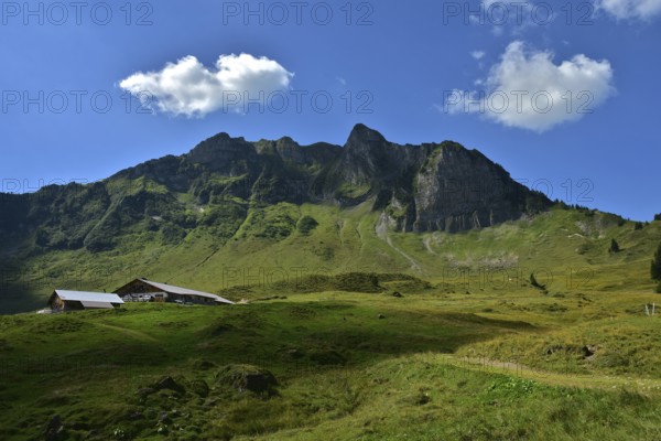 Bregenzerwald, Vorarlberg, Austria, Oberealpe with Klippern, Austria, Oberealpe with Klippern, Europe