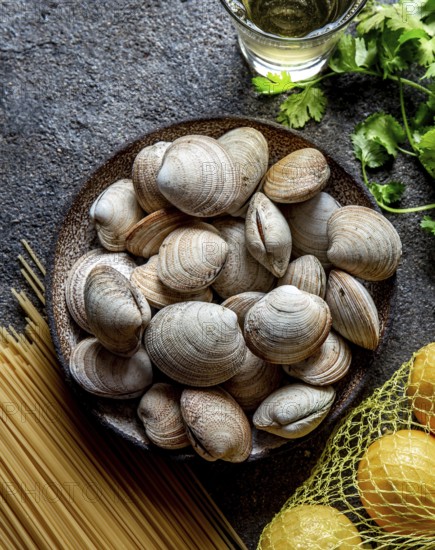 Food, Food, Ingredients for preparation spaghetti with clams, raw fresh clams, spaghetti coriander, white wine lemon