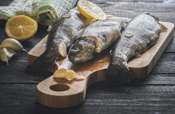 Close-up image with fresh trout displayed on a wooden cutting board, seasoned with garlic and lemon slices, on a rustic wooden table, on a sunny day