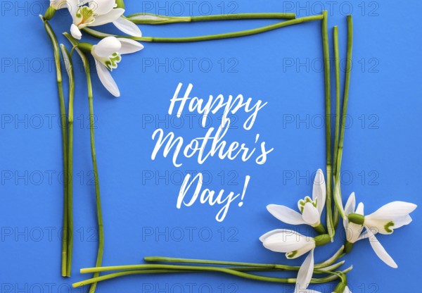 Happy Mothers Day lettering greeting card. Spring flowers snowdrop. Best mom ever. Beautiful tender bouquet of flowers. Holiday concept. Creative modern