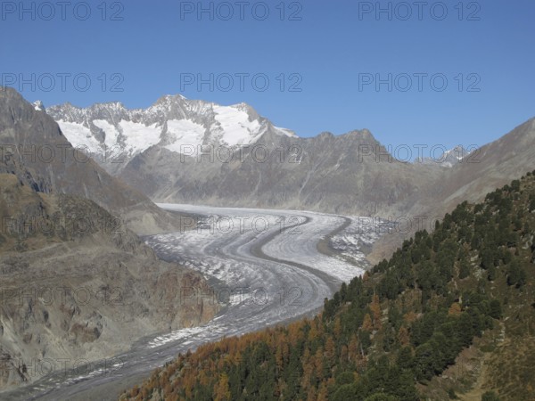 Unique Ice Stream
