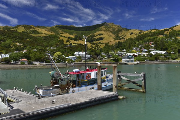 Harbour of Akaroa, a small town in the Canterbury region, South Island, New Zealand, Oceania