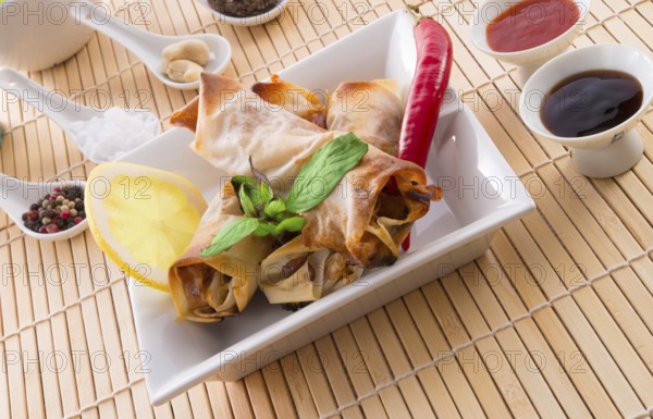 Spring roll