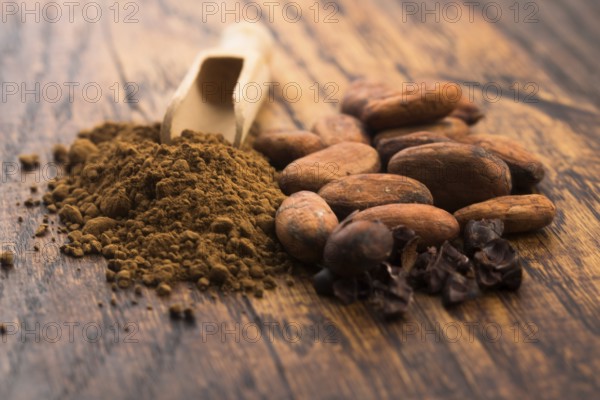 Cacao beans and cacao powder in spoon