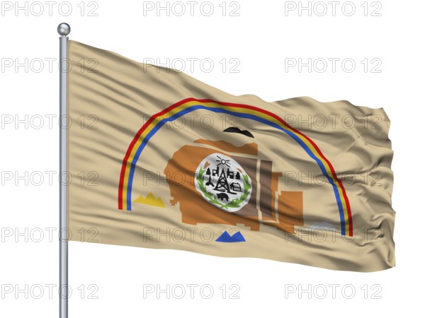 Navajo Indian Flag On Flagpole, Isolated On White Background