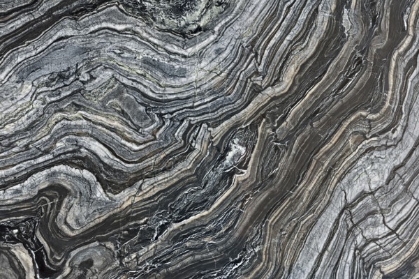 Natural pattern of marble black and white colour polished disc mineral. Super high resolution. Black wood . Background, St. Petersburg