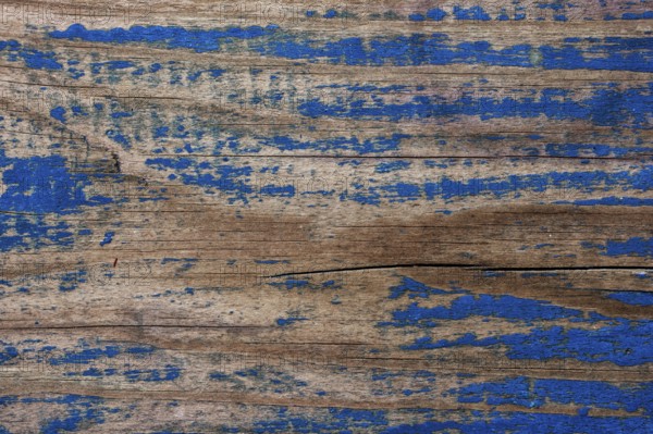Old wooden texture with weathered blue colour