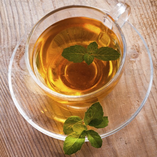 Mint tea in glass cup on wooden table