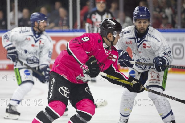 LanxessArena, Cologne, North Rhine-Westphalia, Maximilian Kammerer (Cologne Sharks, #9), PENNY DEL, Cologne Sharks- Staubing Tigers on 03/10/2024 at the LanxessArena in Cologne Germany