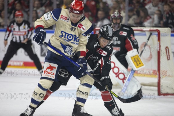 LanxessArena, Cologne, North Rhine-Westphalia, Alexander Karachun (Schwenninger Wild Wings, #47), Jan-Luca Sennehnn (Koelner Haie, #17), PENNY DEL, Kölner Haie- Schwenninger Wild Wings on 11/10/2024 at the LanxessArena in Cologne Germany