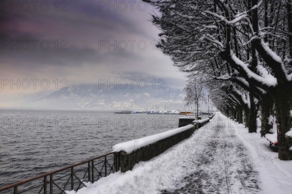 Walkway and Bare Trees with Snow in Winter on the Waterfront to Lake Maggiore with Mountain and Beautiful Storm Clouds in Locarno, Ticino, Switzerland, Europe