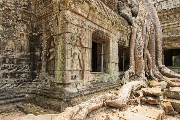 Ta Prohm temple complex near Angkor Wat in Cambodia