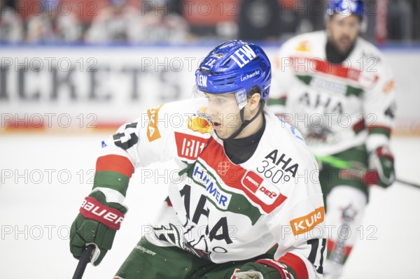 Laura Dick Cologne, LanxessArena, North Rhine-Westphalia, Mick charburner (Augsburger Panther, #11), PENNY DEL, Cologne Sharks-Augsburg Panthers on 08/12/2024 at the LanxessArena in Cologne Germany