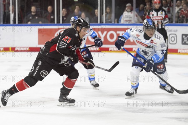 LanxessArena, North Rhine-Westphalia, Juhani Tyrvaeinen (Cologne Sharks, #21), PENNY DEL, Cologne Sharks-ERC Ingolstadt on 22/11/2024 at the LanxessArena in Cologne Germany