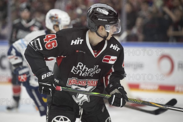 Cologne, LanxessArena, North Rhine-Westphalia, Kevin Niedenz (Cologne Sharks, #46), PENNY DEL, Cologne Sharks- Iserlohn Roosters on 19/01/2025 at the LanxessArena in Cologne Germany
