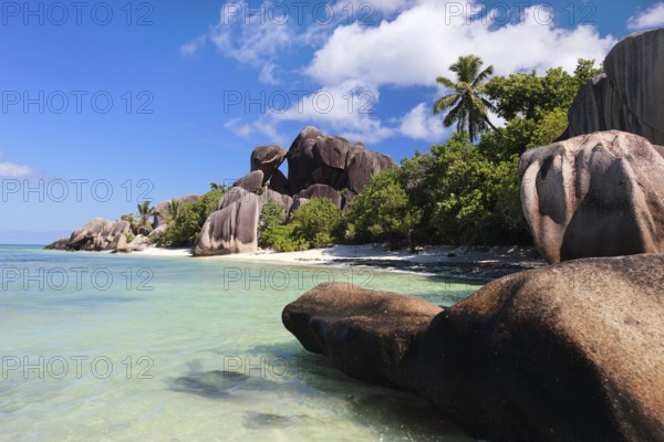 La Digue, Palm tree beach, Seychelles, Indian Ocean, Palm trees, La Digue, Indian Ocean, Seychelles, Africa