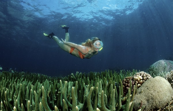 Two woman snorkelling, Bali, Indian Ocean, Indonesia, Asia