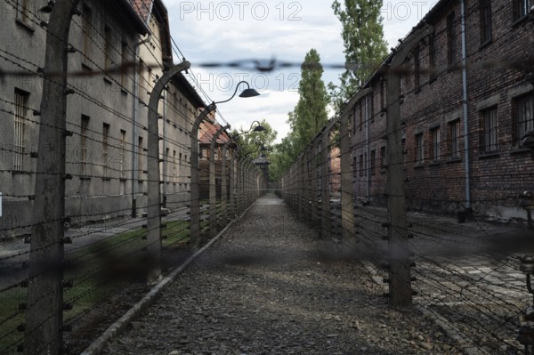 Barbed wire fence in a German concentration camp from World War II