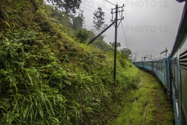 Landscape photography in the fertile highlands in a subtropical climate. Jungle, fields and tea plantations. Train journey on the blue train between Kandy and Nuwara Eliya, Sri Lanka, Asia
