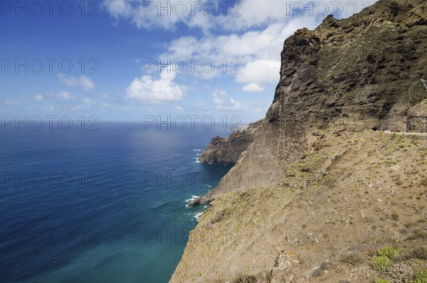 Tenerife landscape. Teno cliffs in north Tenerife island, Canary islands, Spain, Europe