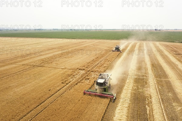 Combine harvester working on a wheat field. Combine harvester Aerial view