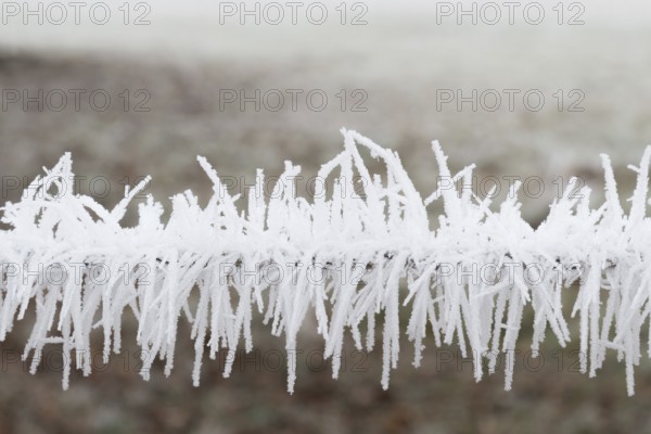 Hoarfrost on a fence white frost on a fence