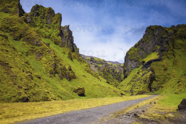 Canyon Pakgil - green grass and moss on fantastic rocks. On canyon there is dirt road. The summer Iceland