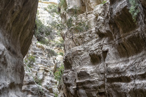 Avagas Gorge in the western part of Cyprus