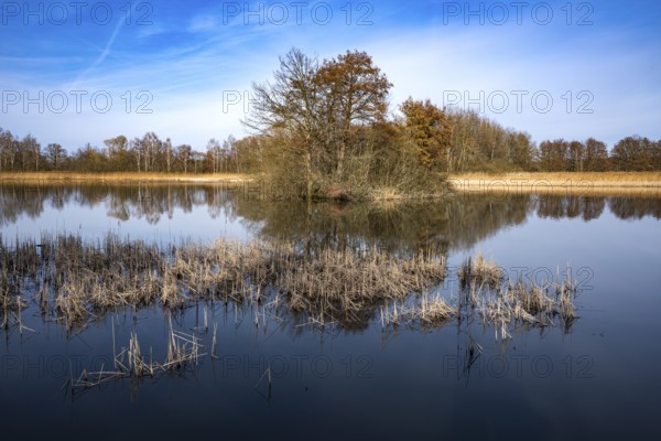Winter walk along the ponds near Holscha in the Upper Lusatian heath and pond landscape 8