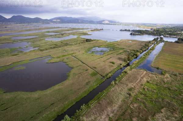 Aerial photographic documentation of the marshy area of Lake Massaciuccoli Tuscany