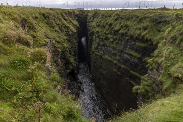 The Gloup, collapsed cave with small waterfall, Mull Head Local Nature Reserve, seaside nature reserve, Skaill, Orkney, Scotland, United Kingdom, Europe