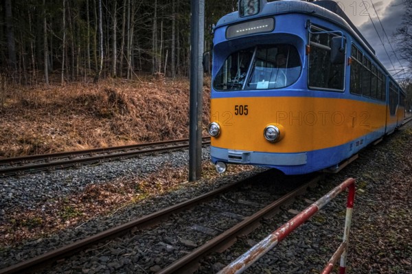 Blue and yellow tram on rails in wooded surroundings in cloudy weather, Friedrichroda, Thuringia, Germany, Europe