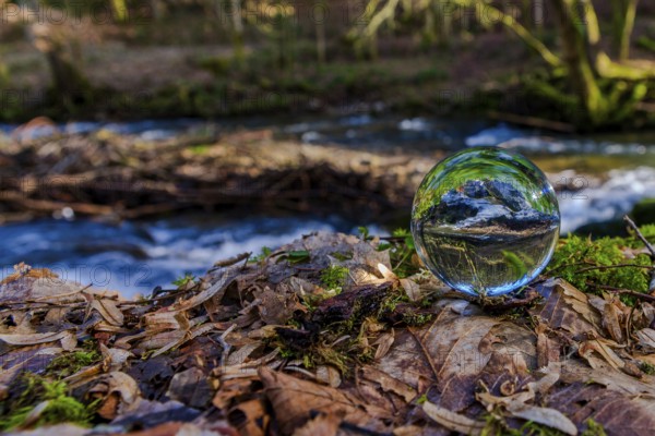 Crystal ball shows reflection of nature in quiet forest atmosphere, Perlbachtal, NIederbayern