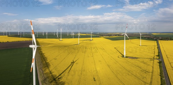 Green energy generation Wind turbines in a landscape with rapeseed fields