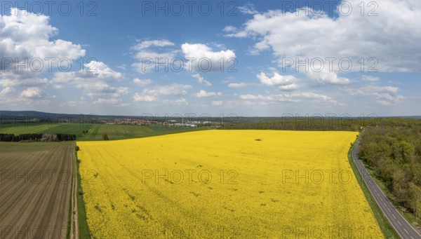 Green energy generation Wind turbines in a landscape with rapeseed fields