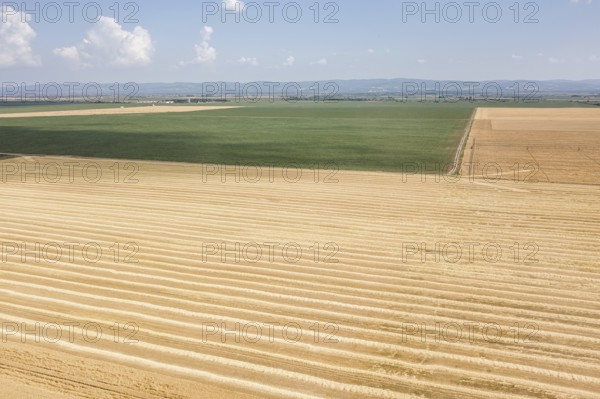 Areal view of crop fields in sunny summer day. Wheat Harvest