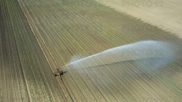Irrigation equipment watering field. Aerial view. Irrigation of a young plants