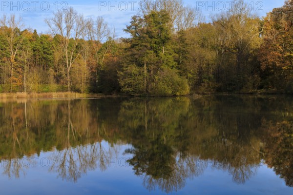 Autumn at Lake Renningen, landscape, reflection