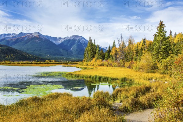 Lake Vermillon among the yellow fall grass and foliage of birches. Travel to autumn. Grandiose landscape in the Rocky Mountains of Canada. The concept of ecological and photo tourism