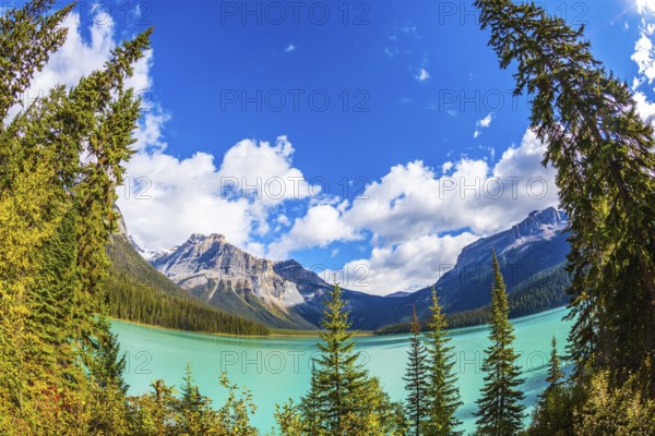 Magic Emerald Lake in Yoho National Park, Rocky Mountains. The emerald-green lake surrounded by a coniferous forest