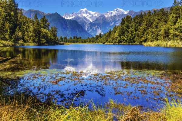 Mirror glacial Lake Matheson surrounded by mountains Mount Cook and Mount Tasman and forests. Mountain peaks covered with snow. The concept of ecological, active and photo tourism