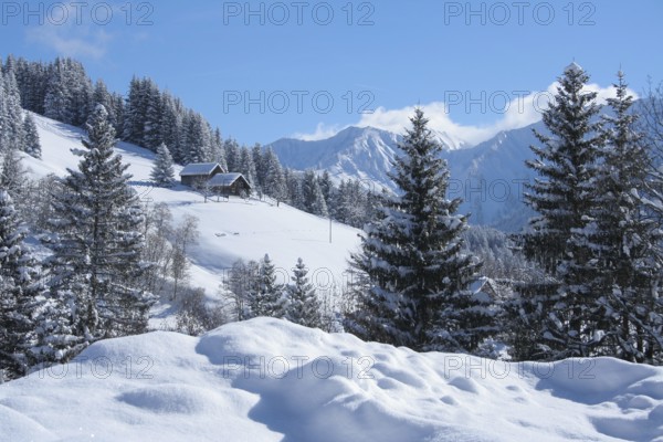 Laterns Oberbonacker