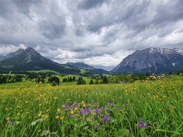 Summer austrian landscape with Grimming mountain (2.351 m), an isolated peak in the Dachstein Mountains, view from small alpine village Tauplitz, Styria, Austria, Europe