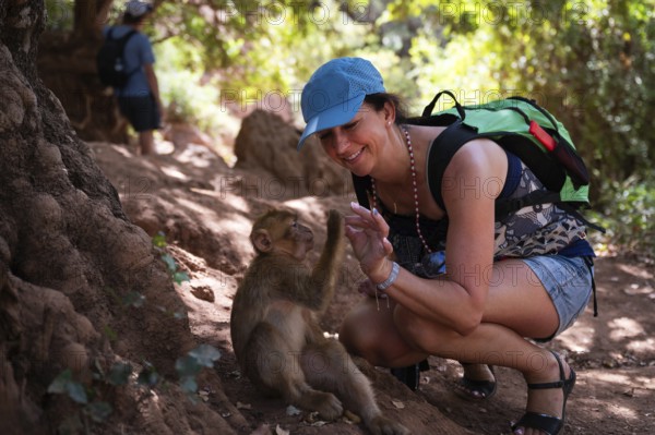 The tourist is having fun with macaque monkey near the Ouzoud waterfall, Morocco, Africa