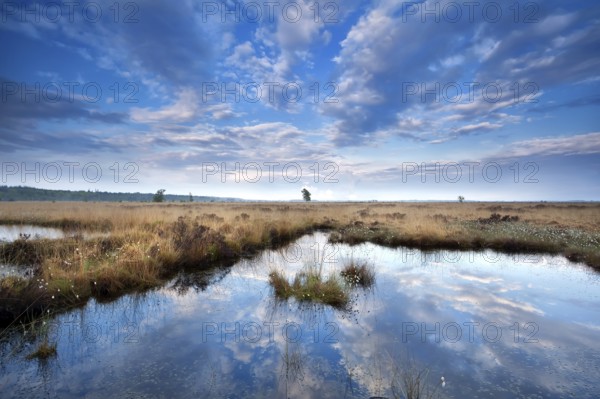 Blue sky cloudscape reflected in wild lake, Drenthe, Netherlands