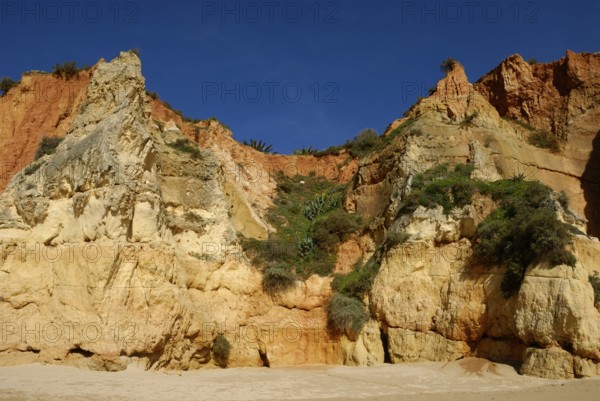 Rocky coast at Praia do Amado, Portimao, Algarve, Portugal, Europe