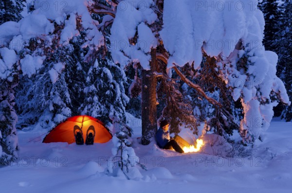 Man sitting next to his illuminated tent under a tree by a campfire, Hedmarksvidda, Hedmark Fylke, Norway, December 2011, Europe