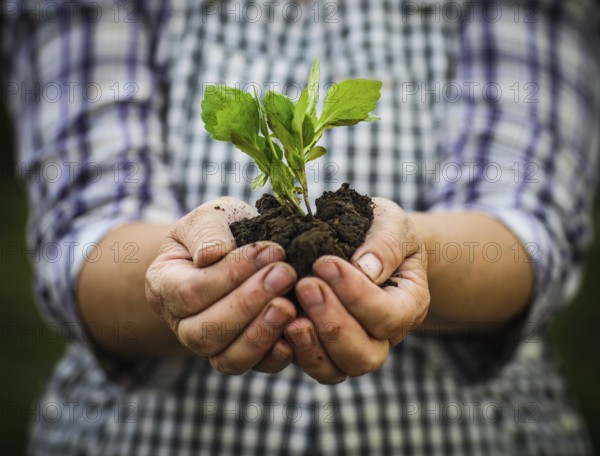 Woman holding a green young plant in her hands. Spring and ecology concept