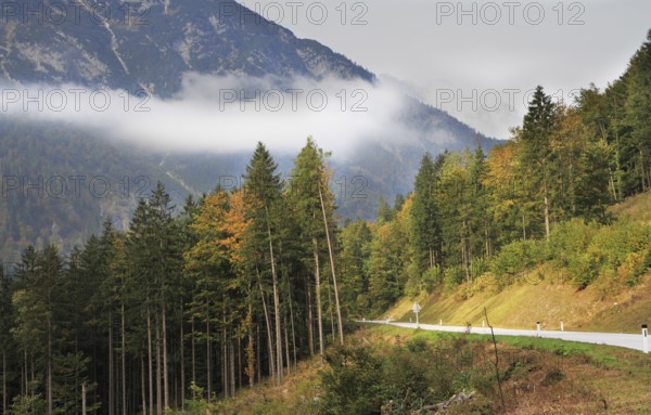 Fine autumn day in the Austrian Alps. The road in mountains among beginners to turn yellow pines and fir-trees