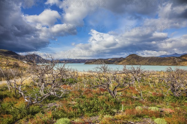 Strong winds of Patagonia. Chile, Patagonia, Torres del Paine National Park - Biosphere Reserve. The concept of eco-tourism